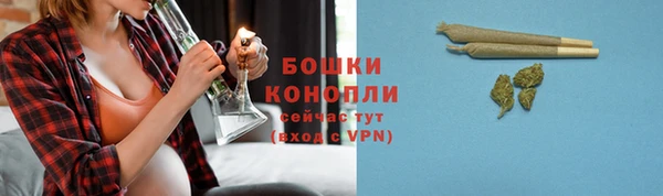 ГАЛЛЮЦИНОГЕННЫЕ ГРИБЫ Нефтекумск