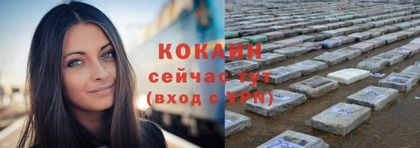 каннабис Новозыбков