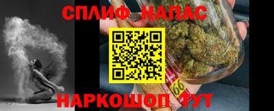 прущие грибы Абакан