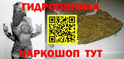 ECSTASY Берёзовский