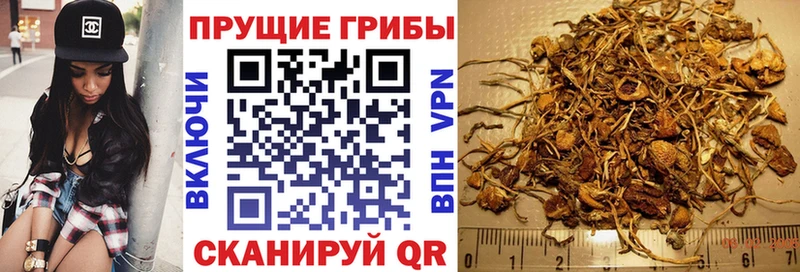 Псилоцибиновые грибы Psilocybe  Мичуринск 