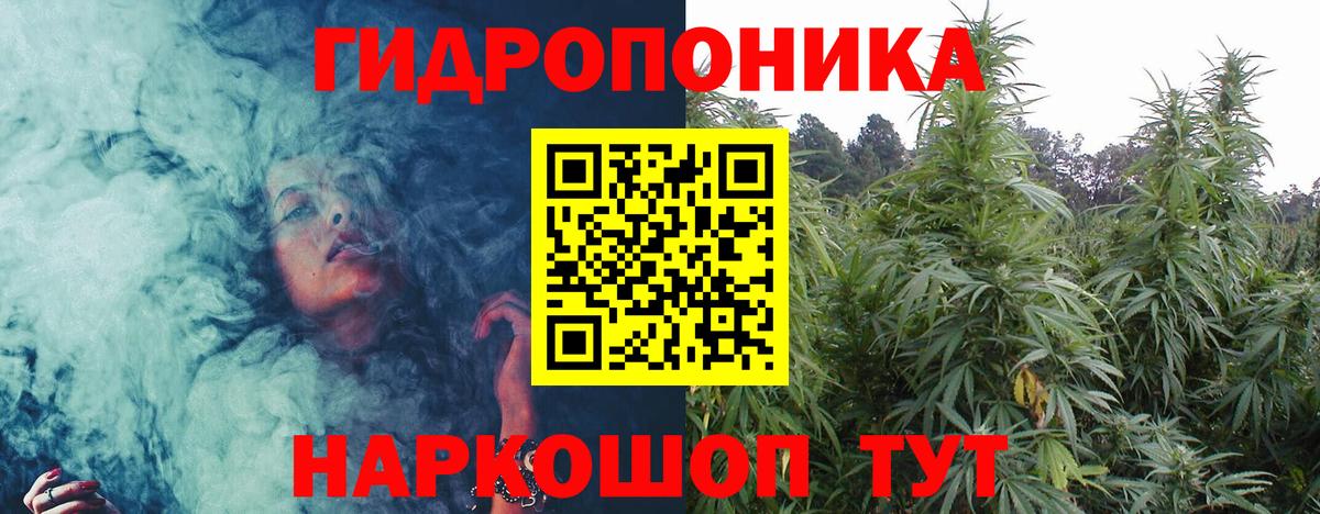 Шишки марихуана план  Вход с VPN  МАРИХУАНА семена  Марихуана White Widow  Мичуринск 
